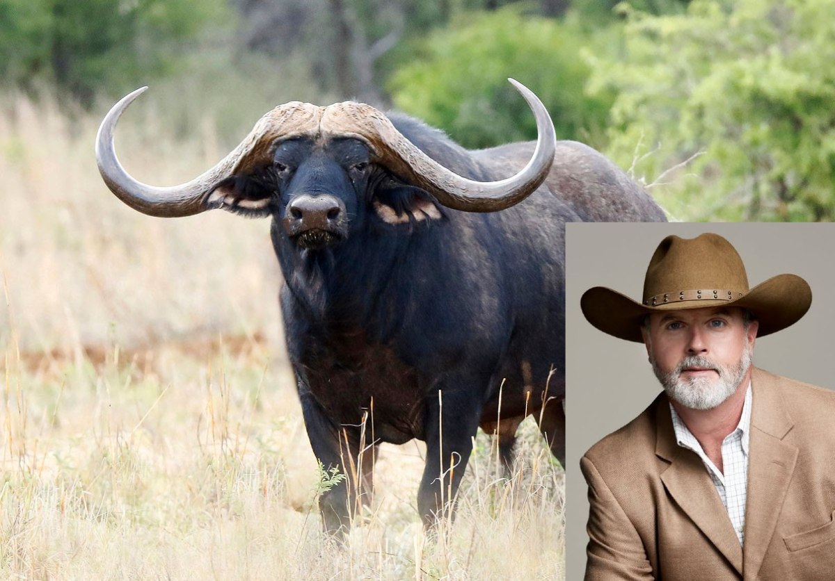Νότια Αφρική: Βούβαλος τρύπησε και σκότωσε έναν εκατομμυριούχο κυνηγός από το Τέξας