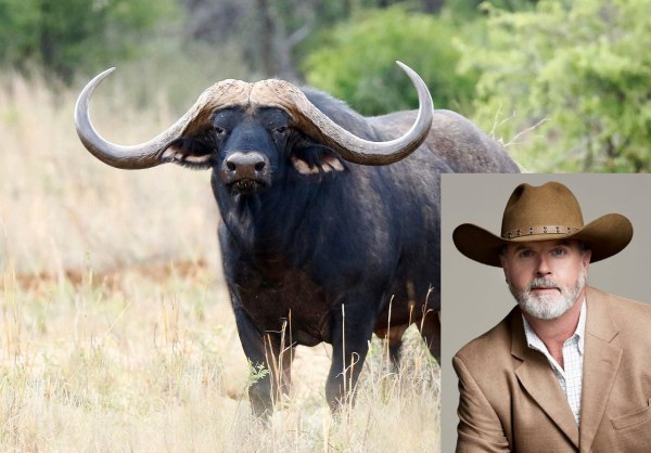 Νότια Αφρική: Βούβαλος τρύπησε και σκότωσε έναν εκατομμυριούχο κυνηγός από το Τέξας