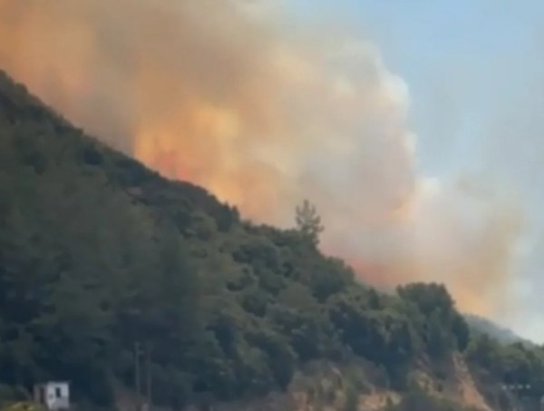 Φωτιά στην Πάργα: Σε δύο εστίες επιχειρούν ισχυρές δυνάμεις της Πυροσβεστικής