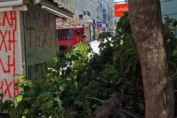 Αθήνα: Έπεσε δέντρο στην Ερμού λόγω ισχυρών ανέμων