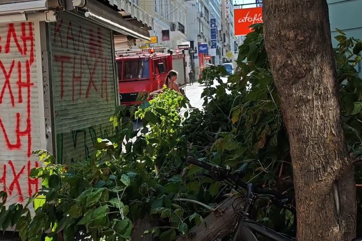 Αθήνα: Έπεσε δέντρο στην Ερμού λόγω ισχυρών ανέμων