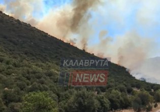 Φωτιά στα Καλάβρυτα – Ήχησε το 112 – Οριοθετήθηκε η πυρκαγιά στο Μαλαπάσι Πύργου