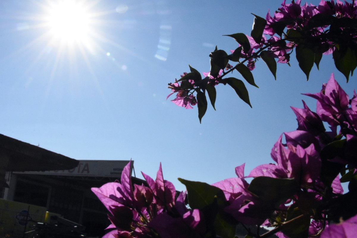 Καιρός: Γενικά αίθριος με ενισχυμένους ανέμους και θερμοκρασίες έως 35 βαθμούς