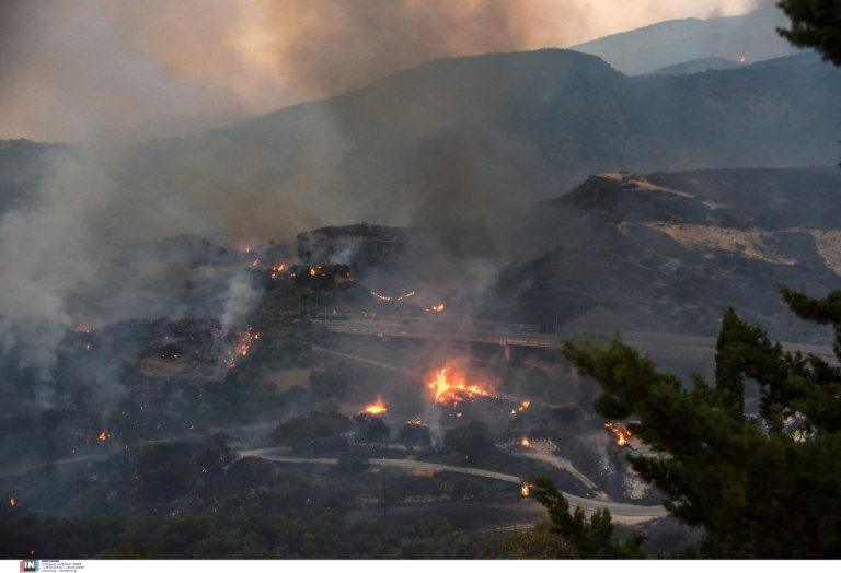 Δορυφορικές εικόνες από τις φωτιές σε Χίο, Ζάκυνθο, Πρέβεζα και Κάτω Αχαΐα – Στάχτη πάνω από 100.000 στρέμματα