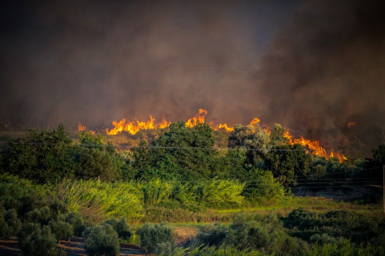Αναζωπυρώθηκε η μεγάλη φωτιά στην Πρέβεζα – Πυρκαγιά σε Καστροσυκιά και Στεφάνη