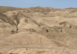 Απολιθώματα στην Αιθιοπία αποκαλύπτουν έναν άγνωστο συγγενή του ανθρώπου