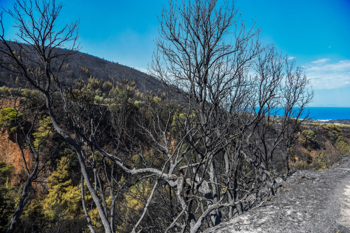 Ρέθυμνο: Συνελήφθη 53χρονος για διέγερση πολιτών σε διάπραξη εγκλημάτων με αφορμή τις φωτιές