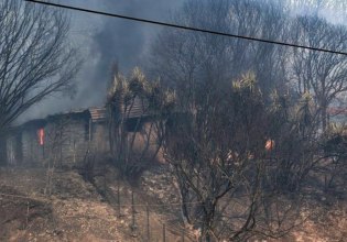 Αχαΐα: Συνελήφθη 21χρονος που πήγε να καταθέσει υπέρ του 25χρονου για τον εμπρησμό στο Γηροκομείο
