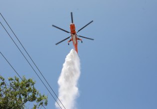 Φωτιά τώρα στη Χόικα Θεσπρωτίας – Επιχειρούν 6 εναέρια