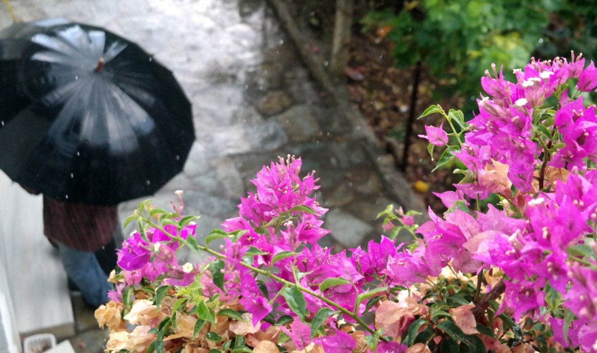 Καιρός: Βροχές και καταιγίδες σήμερα με ισχυρούς ανέμους στο Αιγαίο – Έως 34 βαθμούς η θερμοκρασία