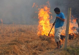 Συλλήψεις και πρόστιμα για φωτιές στην ύπαιθρο σε Αττική, Χαλκιδική, και Φάρσαλα