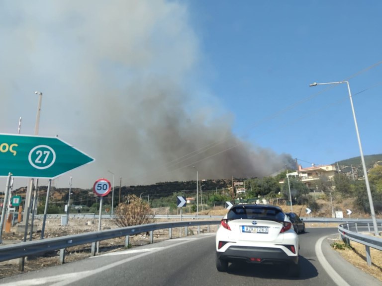 Φωτιά στην Αχαΐα: Πυροσβεστικά που τους τελείωσε το νερό, φλόγες που σταμάτησαν στη θάλασσα