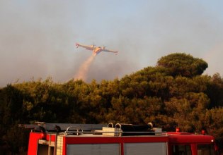 Δήμος Πύργου: Ξεκινάει η υποβολή αιτήσεων για τις ζημιές από τις πρόσφατες πυρκαγιές