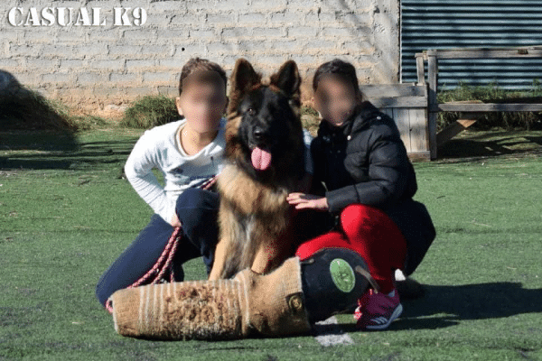 Το παιδί δάσκαλος του σκύλου – Μια ιδανική σχέση