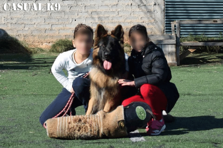 Το παιδί δάσκαλος του σκύλου – Μια ιδανική σχέση