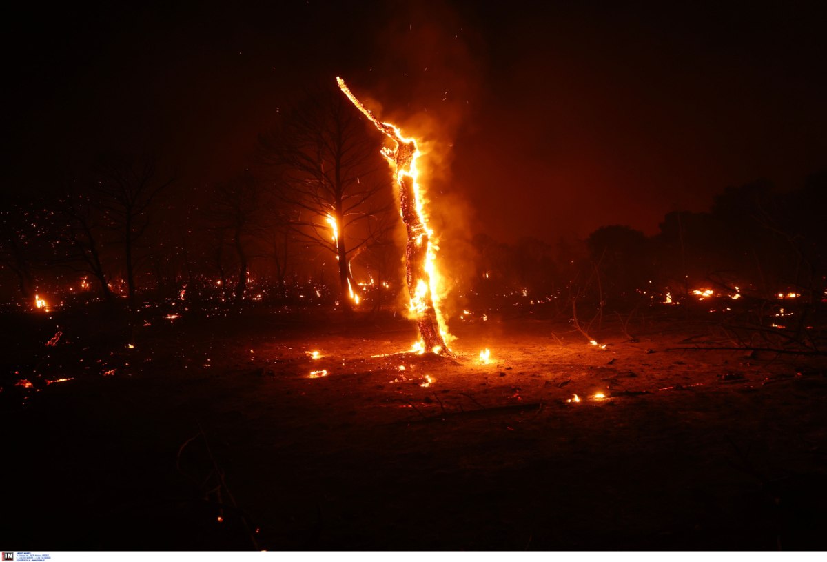 Meteo: Πάνω από 15.800 στρέμματα καμένα στην Κερατέα – Δορυφορική εικόνα της δασικής πυρκαγιάς