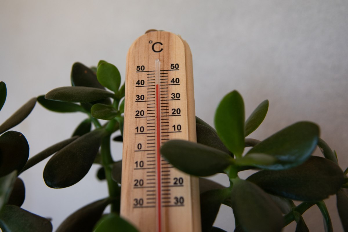 Καύσωνας εν όψει – Καιρός: Έρχεται εισβολή ζέστης και υψηλές θερμοκρασίες – Τι λένε οι μετεωρολόγοι