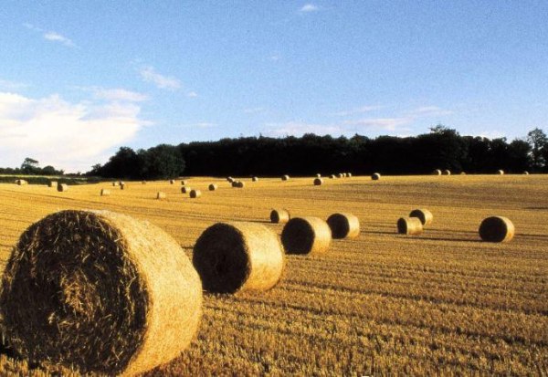 Οι αγρότες στη Βρετανία αντιδρούν στο φόρο κληρονομιάς