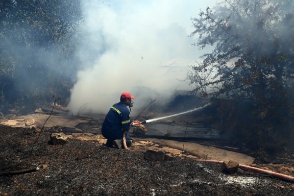 Φωτιά σε δασική έκταση στη Μικρά Σάντα Ημαθίας – Σηκώθηκαν εναέρια μέσα
