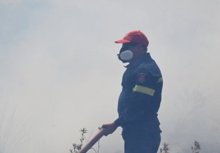 Φωτιά στην περιοχή Σταυράκια στο Ηράκλειο Κρήτης