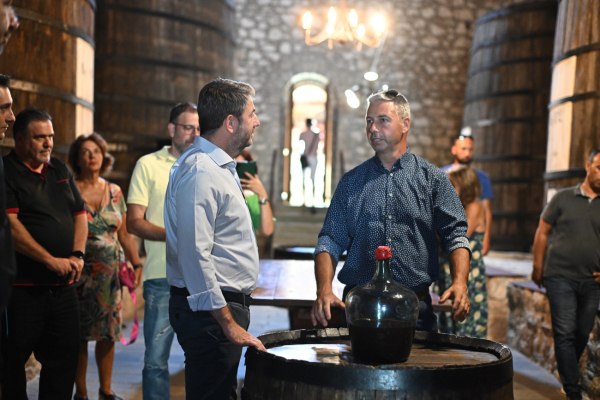 Ανδρουλάκης: Το σκάνδαλο του ΟΠΕΚΕΠΕ δείχνει την αποτυχία της ΝΔ να ενισχύσει τον πρωτογενή τομέα