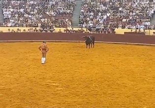 Πορτογαλία: Ταύρος σκότωσε 22χρονο ταυρομάχο στην αρένα – Η σοκαριστική στιγμή [βίντεο]