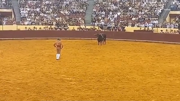 Πορτογαλία: Ταύρος σκότωσε 22χρονο ταυρομάχο στην αρένα – Η σοκαριστική στιγμή [βίντεο]
