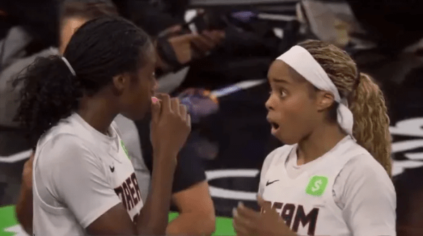 WNBA: Συνελήφθη ο θεατής που πέταξε δονητή στο παρκέ (vid)