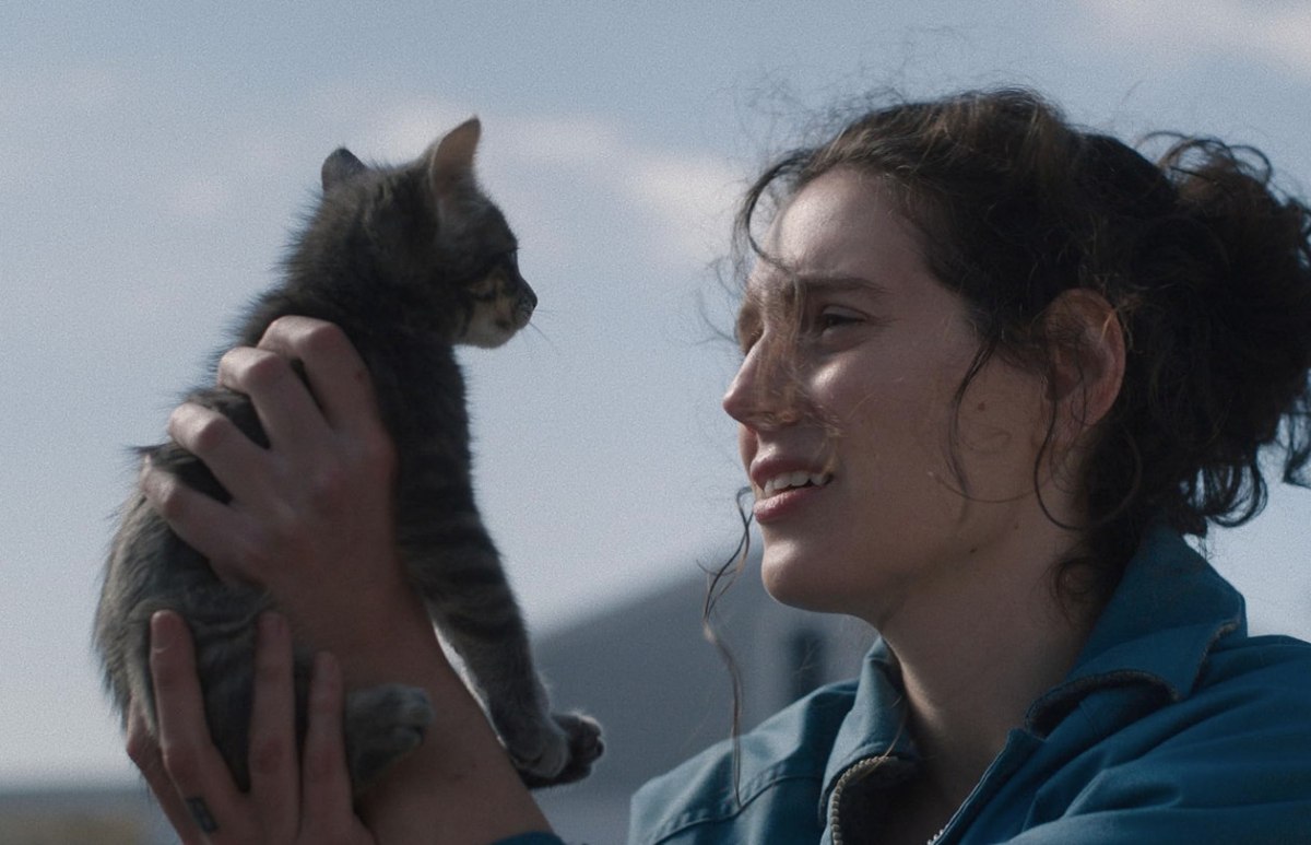 «Με αυτές δεν μιλάς, αλλά ξέρουν ακριβώς πώς νιώθεις»: Πώς οι γάτες έγιναν οι πιο δημοφιλείς σταρ του Χόλιγουντ