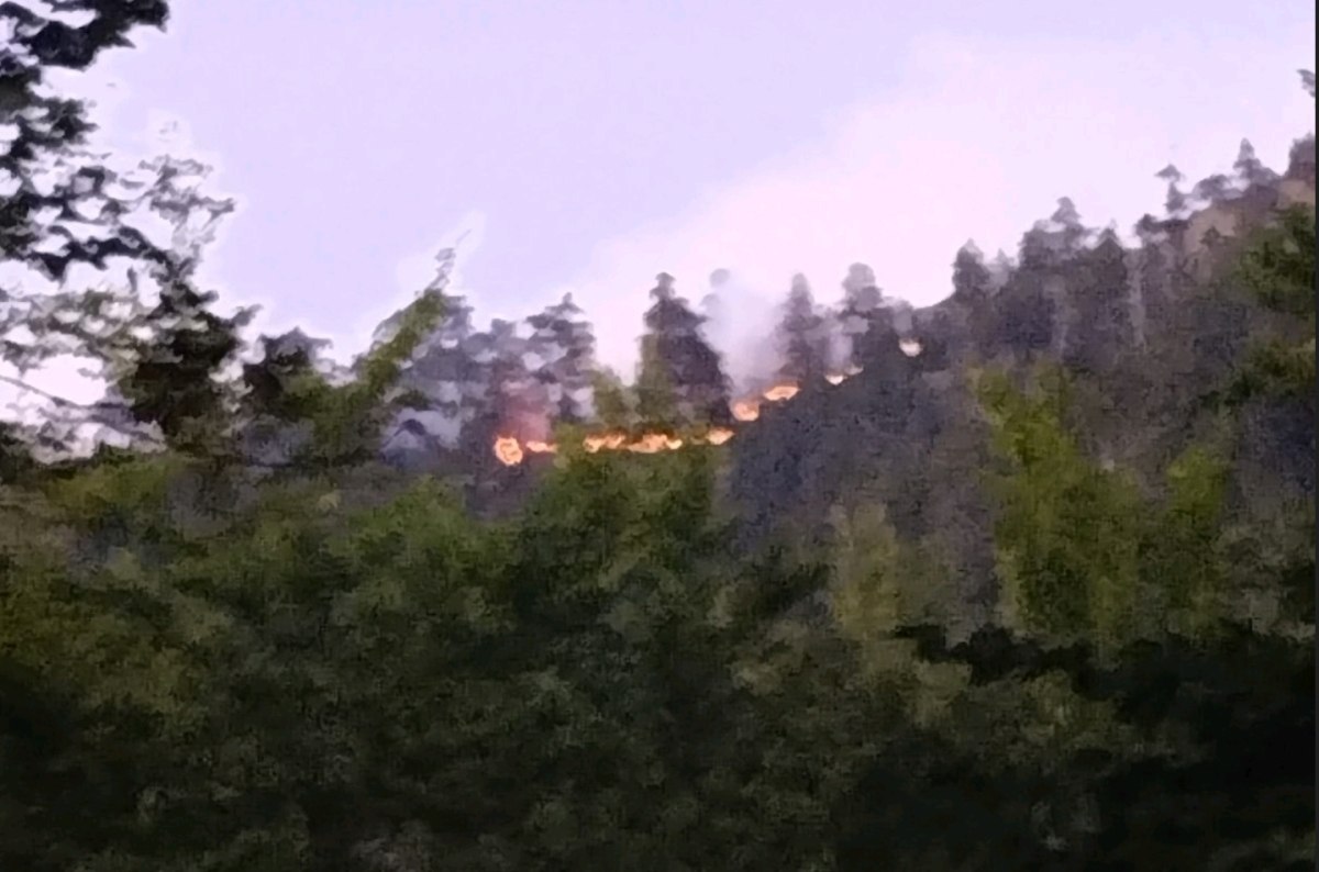 Φωτιά στον Εθνικό Δρυμό της Βάλια Κάλντα – Ξέσπασε σε δύσβατο σημείο από κεραυνό
