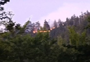 Φωτιά στον Εθνικό Δρυμό της Βάλια Κάλντα – Ξέσπασε σε δύσβατο σημείο από κεραυνό