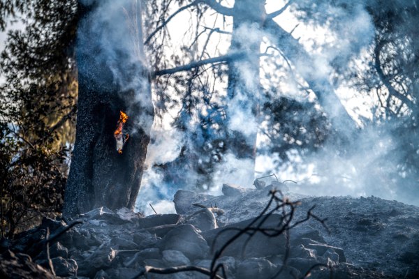 Φωτιά στη Χίο – Μήνυμα του 112 για εκκενώσεις 7 περιοχών