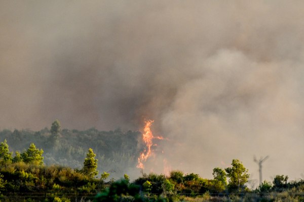 Αρχαία Ολυμπία: Άνδρας συνελήφθη επειδή έκλεψε πυροσβεστικό όχημα για να σβήσει την φωτιά