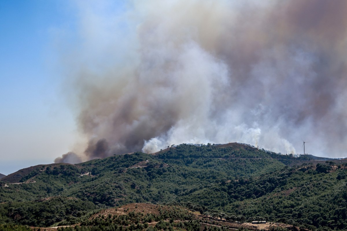 Φωτιά στη Χίο – Αντιδήμαρχος Πολιτικής Προστασίας στο in: Έχουν καεί σπίτια και αυτοκίνητα, ανεξέλεγκτη η κατάσταση