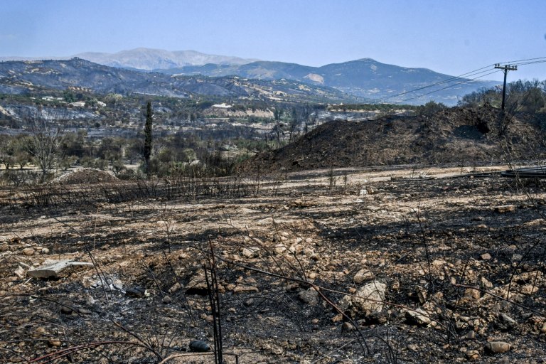 WWF για φωτιές: Οι καμένες εκτάσεις φέτος είναι ήδη πάνω από τον μέσο όρο 20ετίας