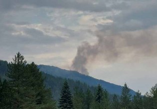 Φωτιά σε δασική έκταση στη Βοβούσα Ιωαννίνων