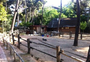 Κλειστό μέχρι νεωτέρας το Άλσος Χωροφυλακής – Σε εξέλιξη η έρευνα για παράνομο νεκροταφείο ζώων