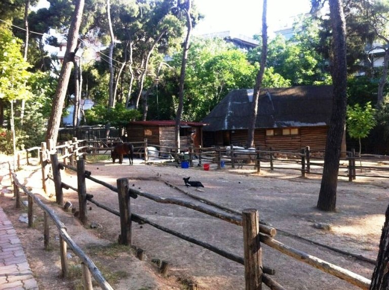 Κλειστό μέχρι νεωτέρας το Άλσος Χωροφυλακής – Σε εξέλιξη η έρευνα για παράνομο νεκροταφείο ζώων