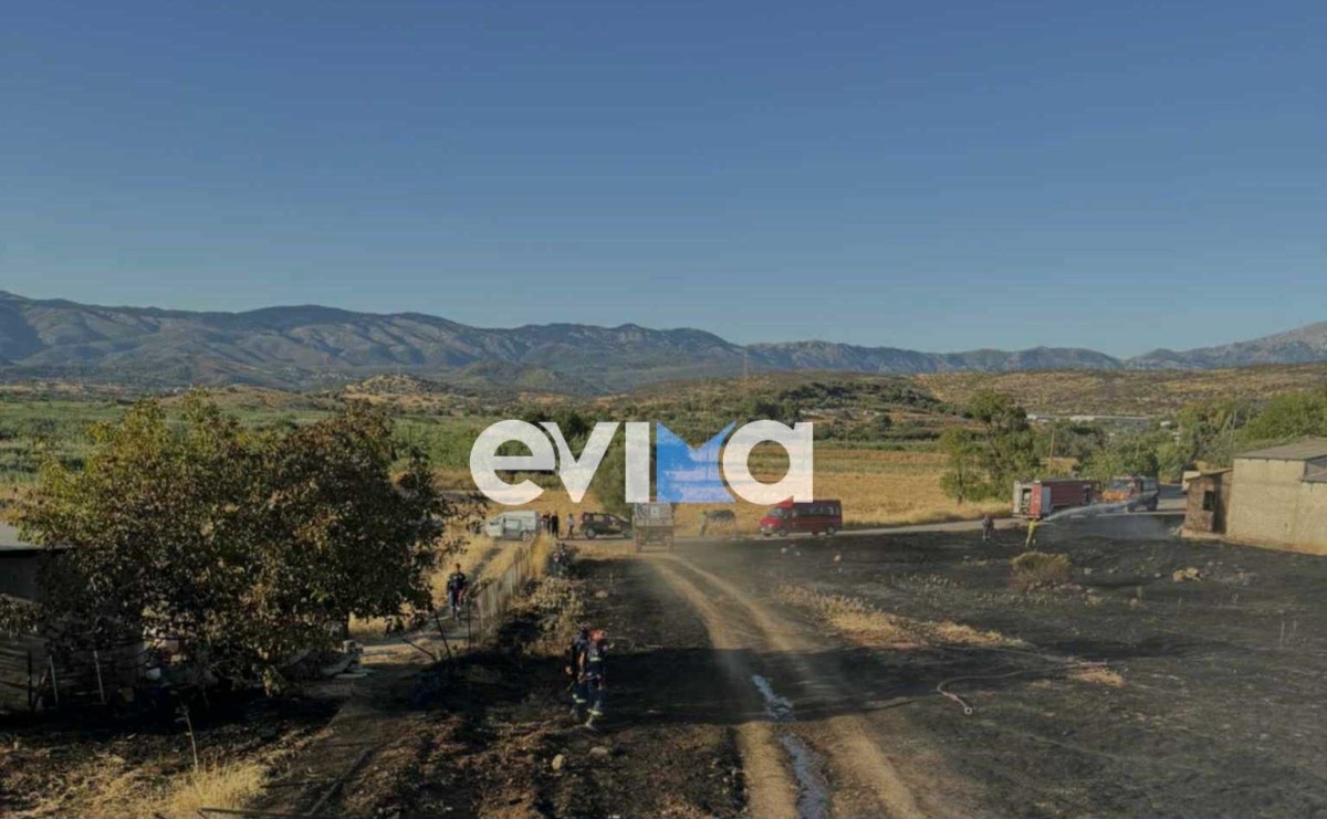 Εύβοια: Τραυματίστηκε εθελοντής πυροσβέστης κατά τη διάρκεια κατάσβεσης φωτιάς