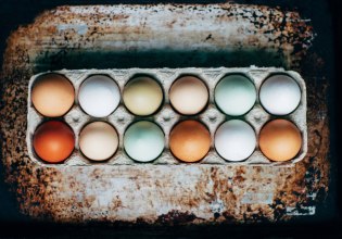 «Παντοτινά χημικά» στα ελληνικά αυγά ελευθέρας βοσκής – Κίνδυνοι για την υγεία