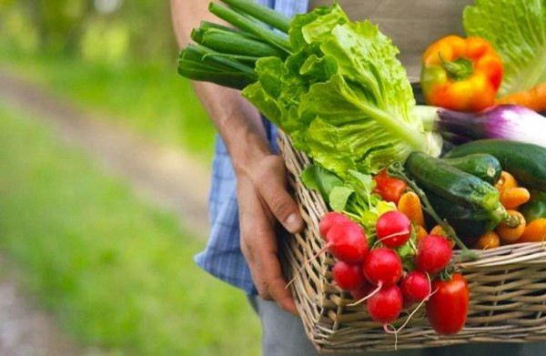 Crackdown on Fake Organic Certifications in Greece Begins with Fines