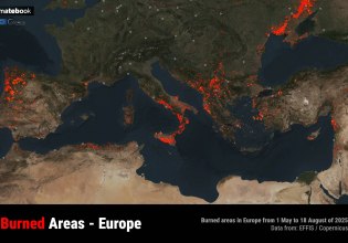 Πυρκαγιές: Η Ελλάδα στην πέμπτη θέση της Ευρώπης το καλοκαίρι του 2025 σε καμένες εκτάσεις