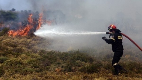 Φωτιά σε δασική έκταση στο Μακροχώρι Καστοριάς