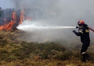 Φωτιά στα Φιλιατά Θεσπρωτίας
