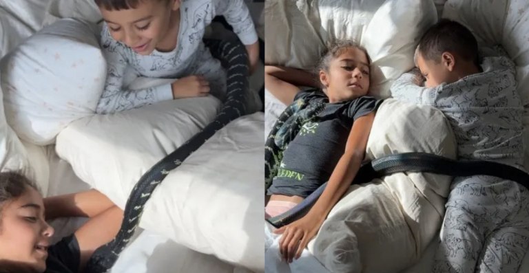 Ζει με περισσότερα από 100 φίδια στο σπίτι του – Τα παιδιά του μοιράζονται τα κρεβάτια τους με τα ερπετά