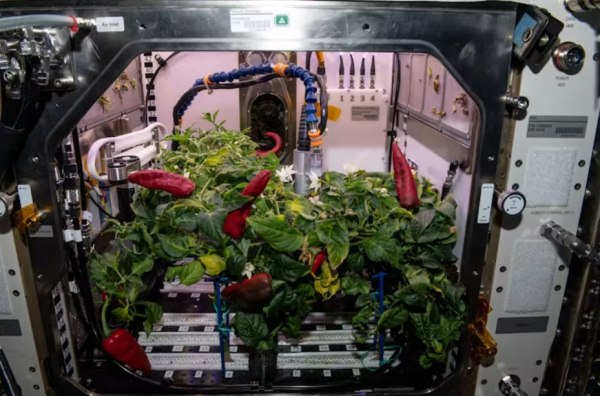 Φυτά για τον Άρη, λύσεις για τη Γη: πώς η έρευνα στο διάστημα αλλάζει διατροφή και ιατρική