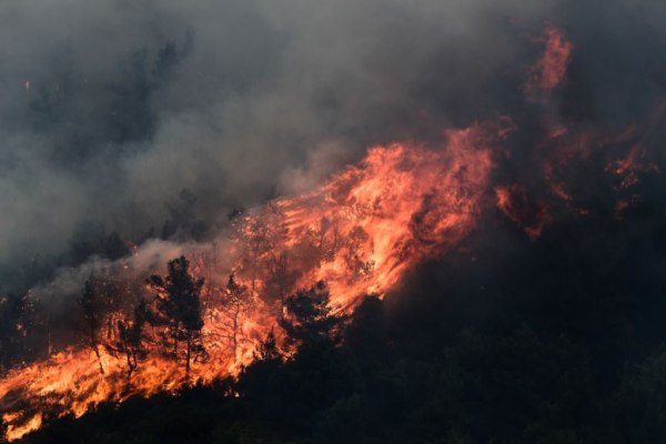 Φωτιά στην Αρχαία Νεμέα – Μήνυμα του 112 καλεί σε εκκένωση