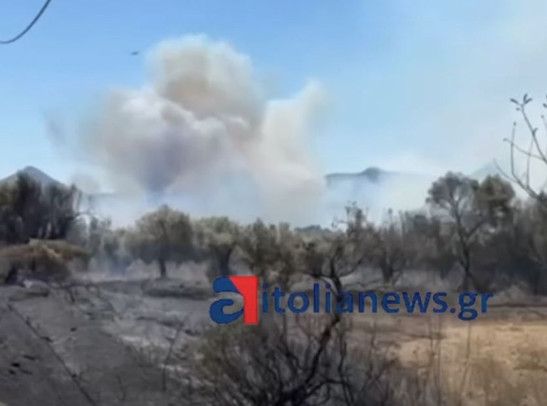 Φωτιά κοντά στη λίμνη Βουλκαριά – Σηκώθηκαν εναέρια μέσα