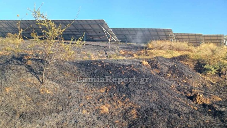 Φωτιά στον Άγιο Στέφανο Δομοκού κοντά σε φωτοβολταϊκά