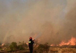 Τριπλό μέτωπο φωτιάς στην Πρέβεζα – Συναγερμός στην Πυροσβεστική